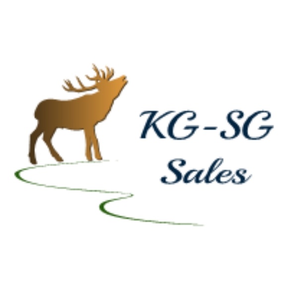 kg_sg_sales